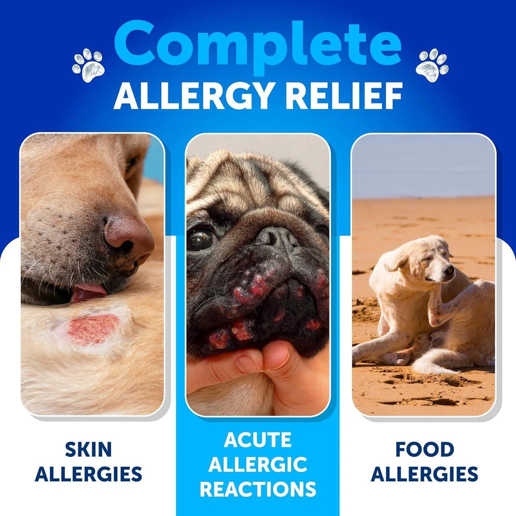 Do Not Sell On Amazon Dog Allergy Relief Chews Itching Skin Relief For Dogs Fish Oil 3 Seasonal Allergies Pills Skin & Coat Anti ItchHot Spots Treatment Canine Immune Health Supplement 180 Soft Treats